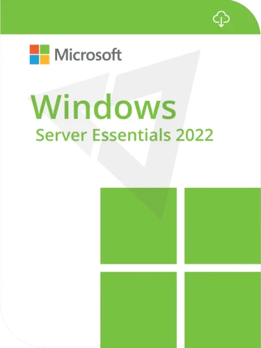 Windows Server 2022 Essentials.webp