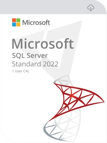 SQL Server 2022 Standard 1 User CAL.webp